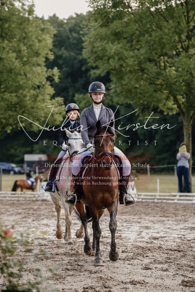 DSC_8315 | Pferde- und Turnierfotografie in Westsachsen. Pferdeportraits, Auftragszeichnungen und intuitive Kunst.