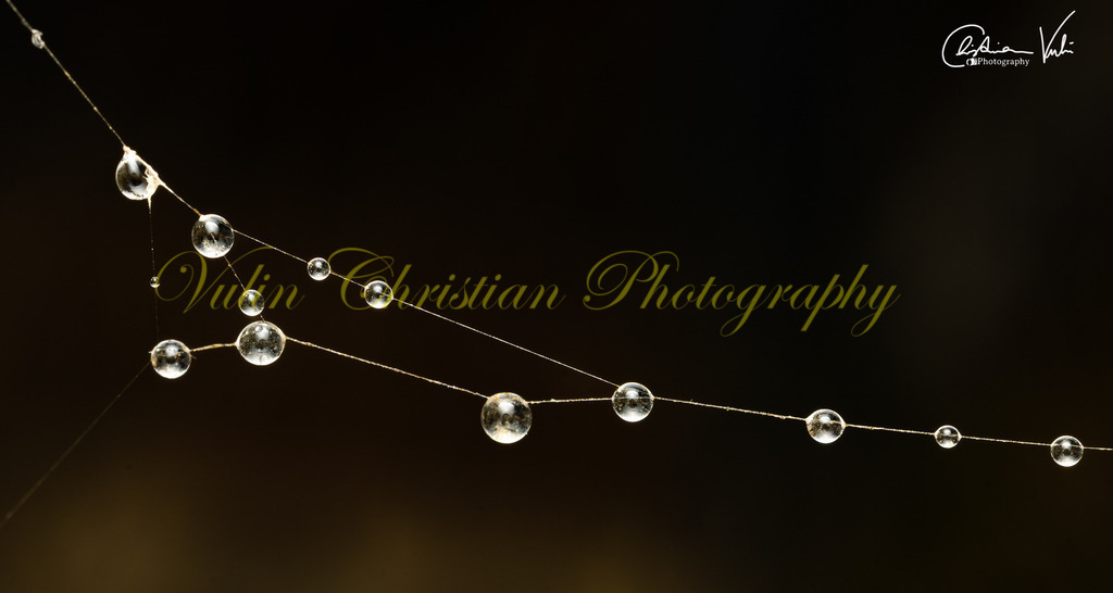 MN 27 | Christian Vulin  - Realisiert mit Pictrs.com