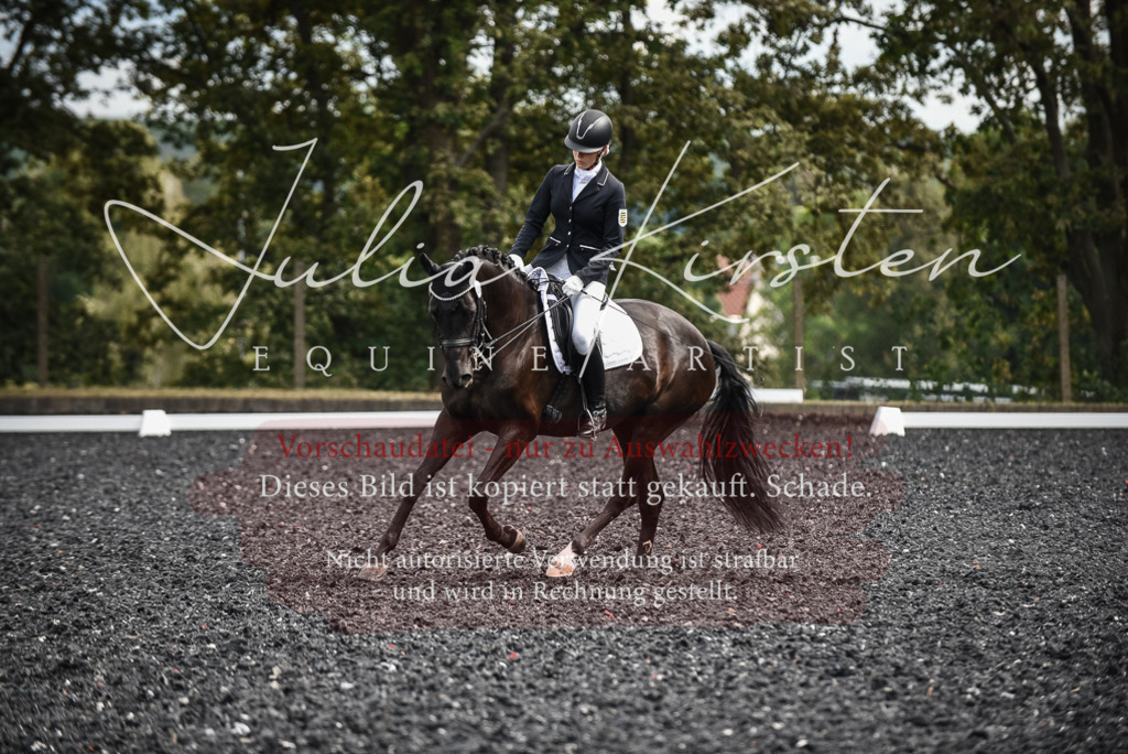 DSC_5078 | Pferde- und Turnierfotografie in Westsachsen. Pferdeportraits, Auftragszeichnungen und intuitive Kunst.