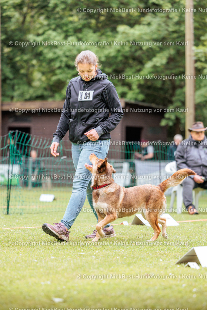 RO-Blumenthal-2026-Nickbest-Hundefotografie-2806 | Dein Hund! Dein Moment! Deine Erinnerungen! Hundefotografie in Bremen Blumenthal. Ich fange die besonderen Momente deines Vierbeiners ein – ob Indoor mit Blitzanlage oder in der freien Natur. Sicher dir dein Moment und dein Termin für eure Erinnerungen.