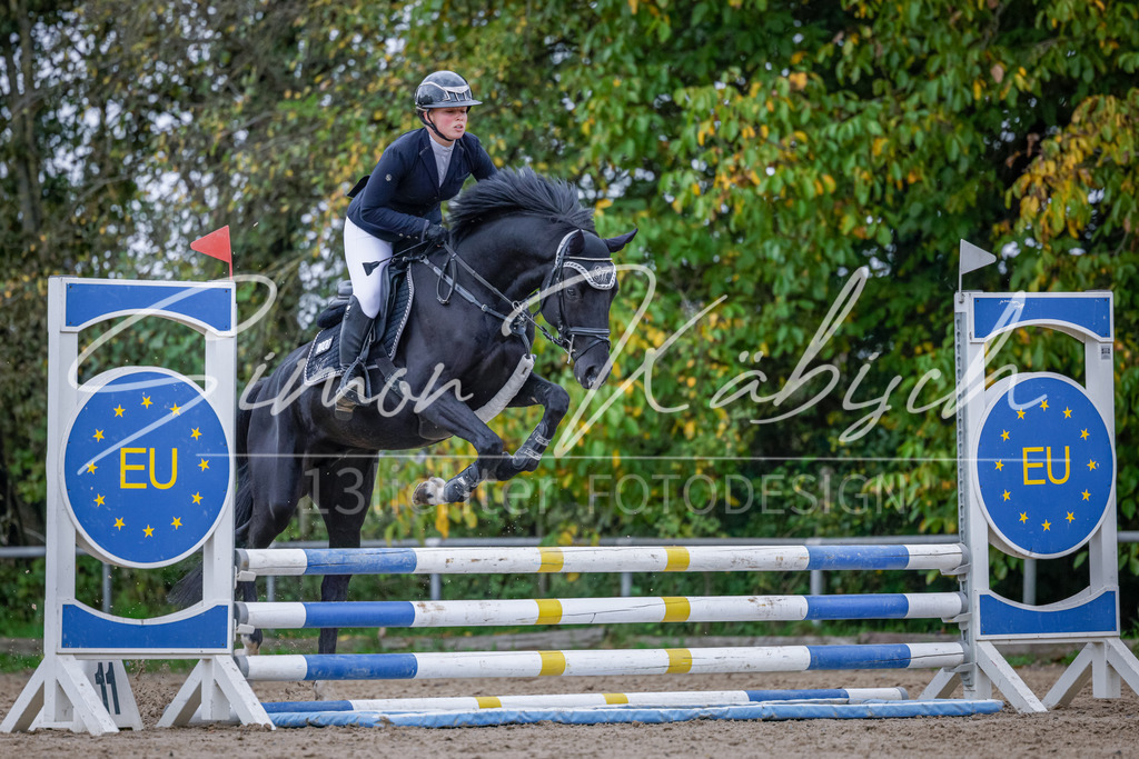 20251012-_3LI3874 | Tierfotografie Pferde, Hunde, Katzen, Haustiere.
Turnierfotografie Reitturniere, Reiten, Springreiten, Dressur in Hanau, dem Main-Kinzig-Kreis und dem Rhein-Main- Gebiet um Frankfurt