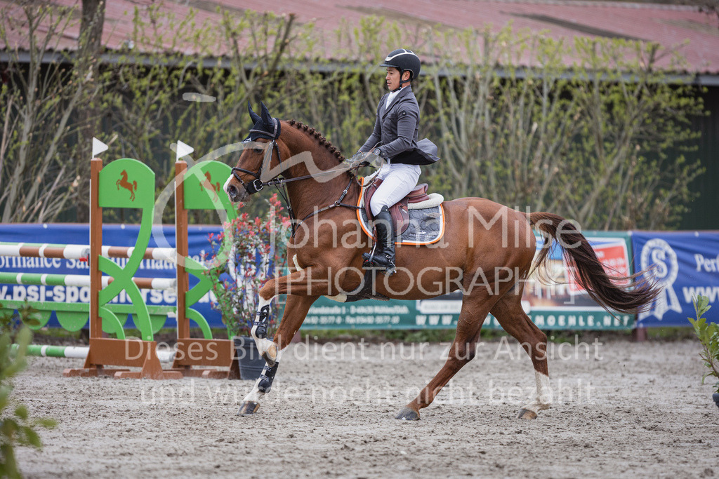 230411_Mühlen_03SprPf-L-385 | Deine schönsten Turniermomente als professionelle Fotos! Entdecke hochwertige Pferdesport-Fotografie im Online-Shop. Jetzt Fotos finden & bestellen!
