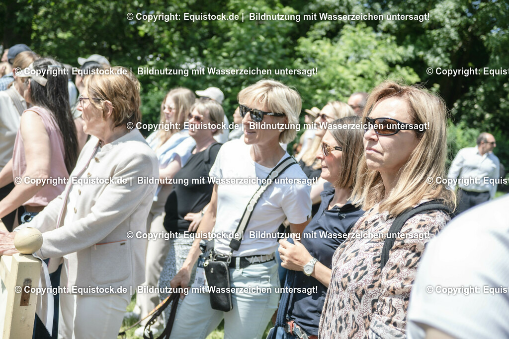 ZFC_4231 | equistock