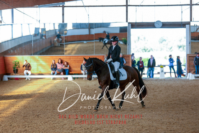 _62_7954 | Turniersportfotografie; Pferdefotografie; Dressurfotografie