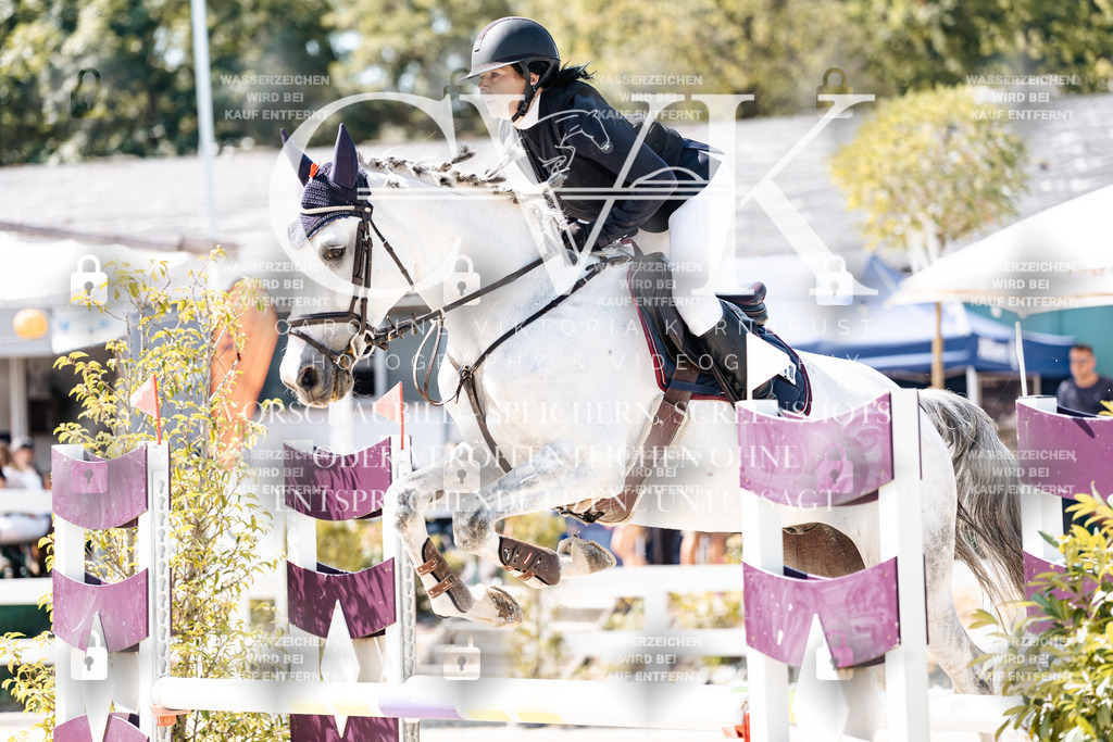 CK908946 | Turnierfotografie Pferdefotografie Trier Rheinland-Pfalz Pferdesport Reitsport Tierfotografie Sportfotografie Pferdevideo Pferdevideografie Equestrianvideography equestrianphotography  - Realisiert mit Pictrs.com