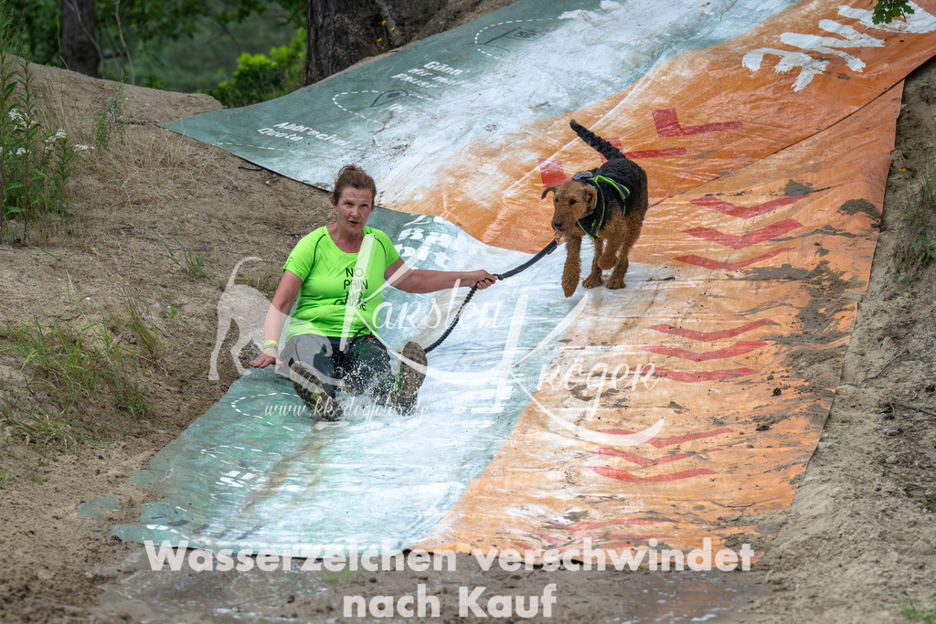 0954_ZZ91648-Verbessert-RR | kk-dogfotos