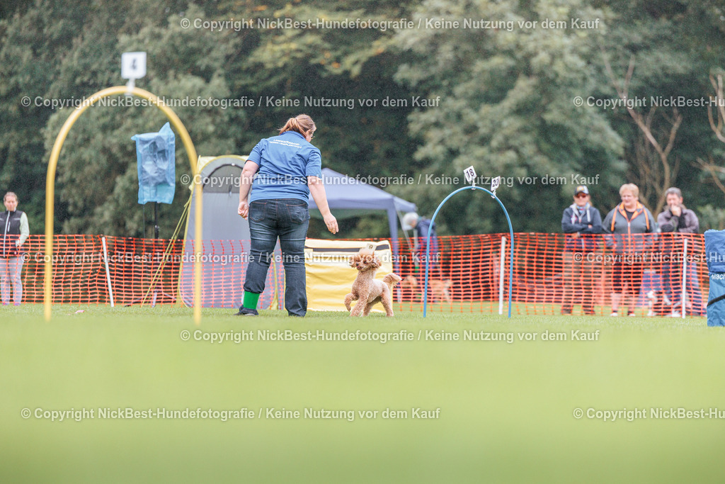 BSP Hoopers-H2-2026-Nickbest-Hundefotografie-TuS Komet Arsten e.V.-3236 | Dein Hund! Dein Moment! Deine Erinnerungen! Hundefotografie in Bremen Blumenthal. Ich fange die besonderen Momente deines Vierbeiners ein – ob Indoor mit Blitzanlage oder in der freien Natur. Sicher dir dein Moment und dein Termin für eure Erinnerungen.