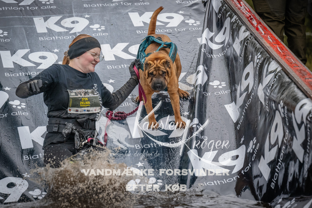 1155_ZZ93866 | kk-dogfotos