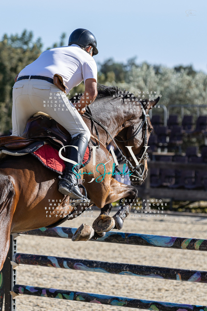 IMG_0068 | s-jay-photography - Realisiert mit Pictrs.com