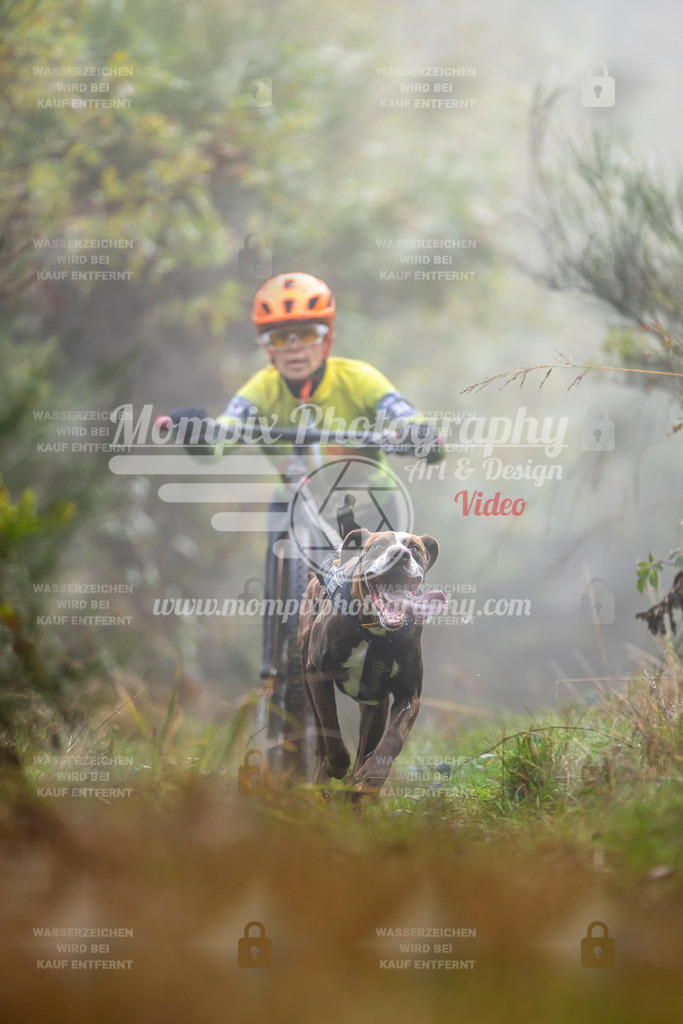 MompixPhotography_20TSB_E4_DS1-49 | PayLife