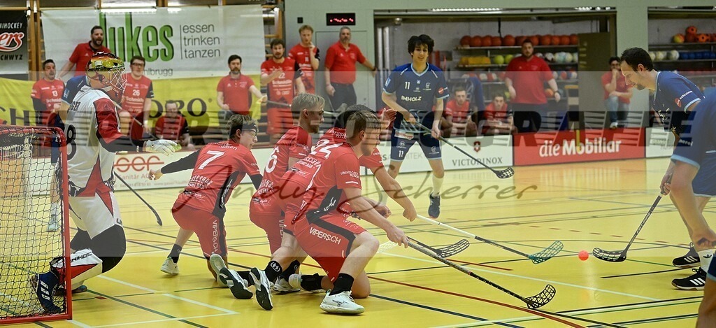 aaaaaDSC_6668 | Kaufen Sie Sportbilder im Onlineshop von Andy Scherrer Sportfotografie. Faszinierende Bilder von Sportevents aus der ganzen Schweiz. Fussball, Frauenfussball, Unihockey, Handball, Schwingen und weiteren Sportarten. - Realisiert mit Pictrs.com