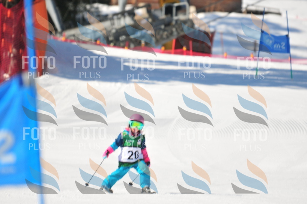 C2512 | holidayphoto