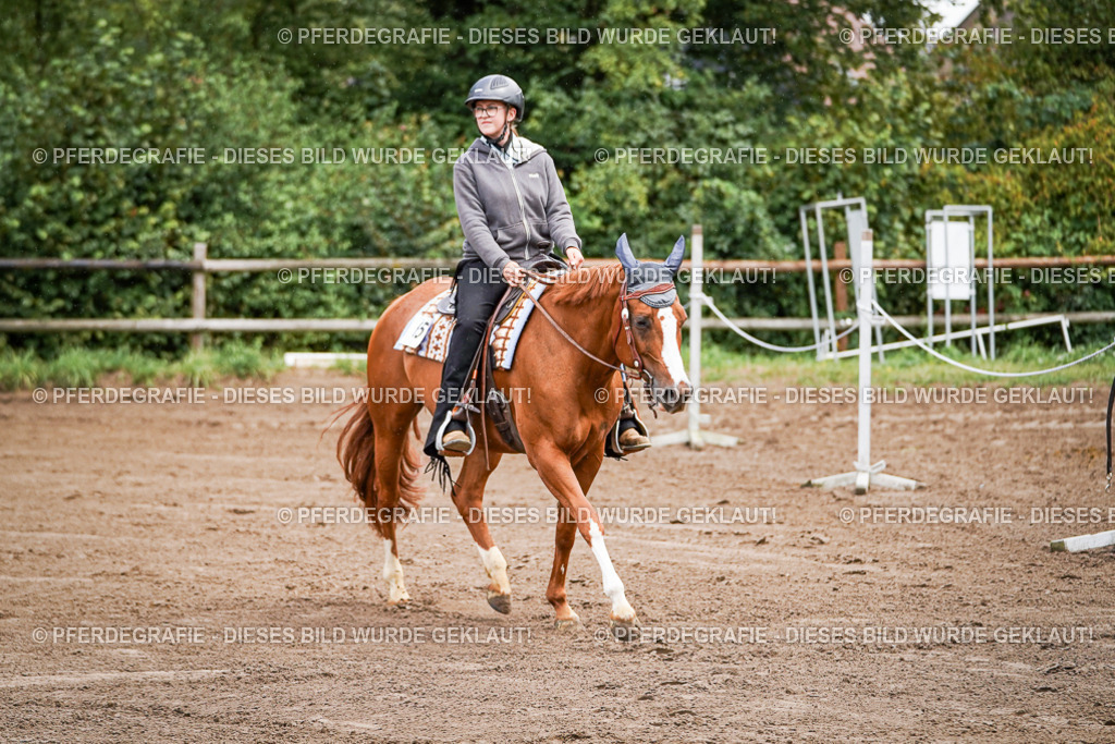 DSC05609 | Pferdegrafie