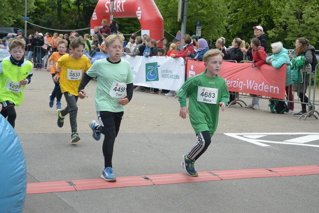 11-05-01_ | Meisterchip Fotoshop - Realisiert mit Pictrs.com