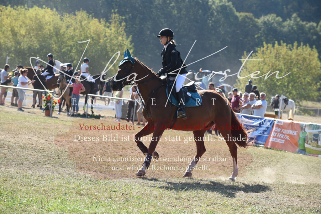 DSC_6049 | Pferde- und Turnierfotografie in Westsachsen. Pferdeportraits, Auftragszeichnungen und intuitive Kunst.