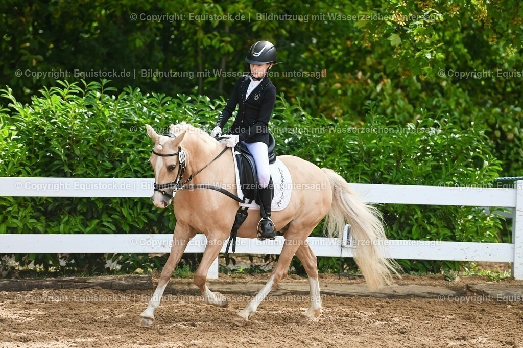 20230716_10-3_Reiter-WB Schritt - Trab - Galopp_0114 | equistock