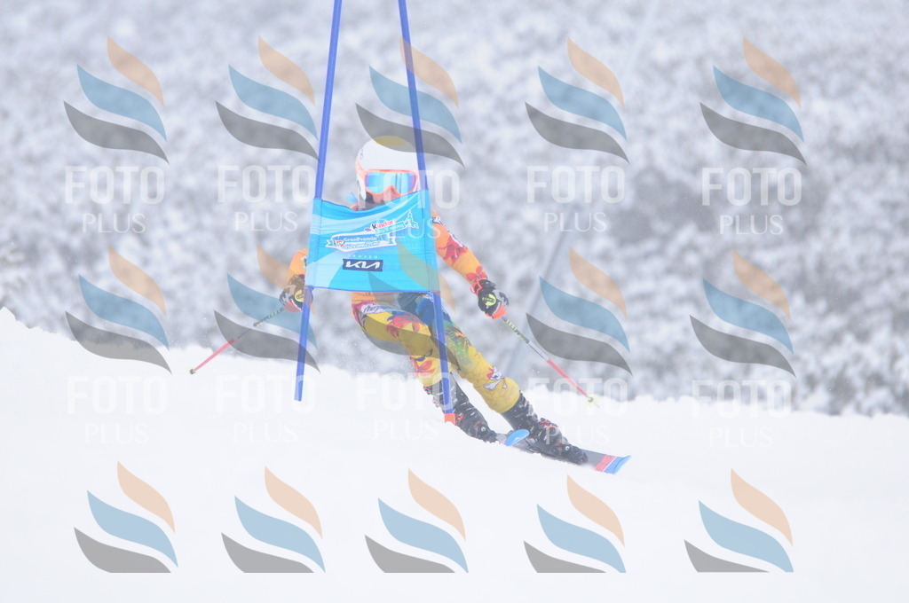 C3822 | holidayphoto