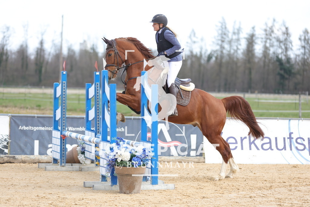 0P6A7166 | Willkommen bei Brunnmayr - Design & Fotografie – Ihrem Spezialisten für Reitturniere und Pferdeveranstaltungen in Oberösterreich, Salzburg und Bayern! Seit über 17 Jahren sind wir leidenschaftlich dabei.
