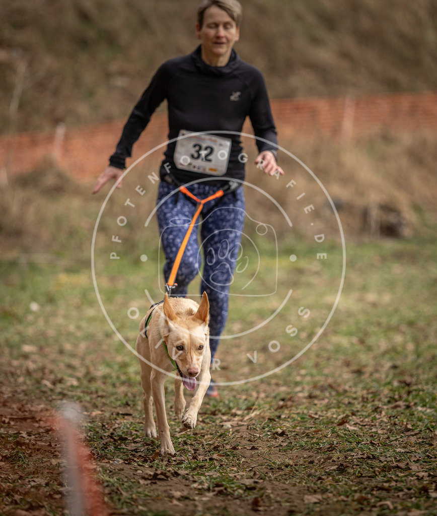 Pfotenfotografie_DV3A9079 | Hundefotografie, Tierfotograf, Pfotenfotografie, Fotoshooting Hund, Hunde Portrait, Hundesport, Hundeportraits, Heideshooting, Hunde, Sportfotograf, Hundefotograf, Turnierhundsport, THS,  - Realisiert mit Pictrs.com