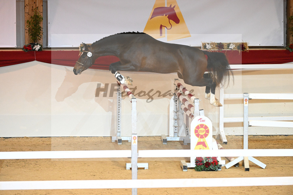 Kat-Nr. 18 Del Arko d Henvet_Mueller-Schwender_1230875 | hf-fotografie - Realizzato con Pictrs.com