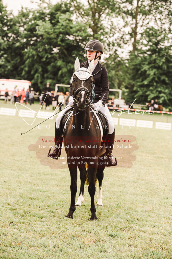 DSC_5165 | Pferde- und Turnierfotografie in Westsachsen. Pferdeportraits, Auftragszeichnungen und intuitive Kunst.