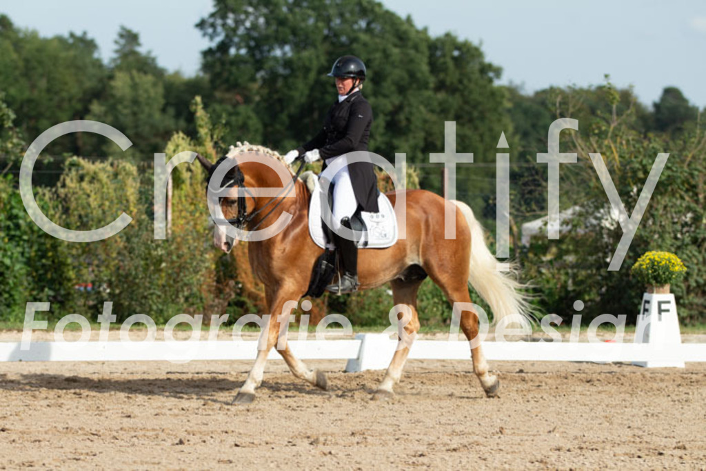 IMG_4506 | Creatify Fotografie