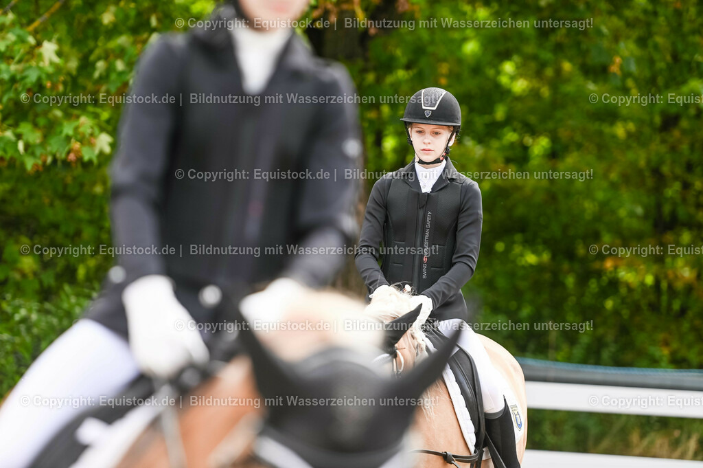20230716_10-1_Reiter-WB Schritt - Trab - Galopp_0037 | equistock