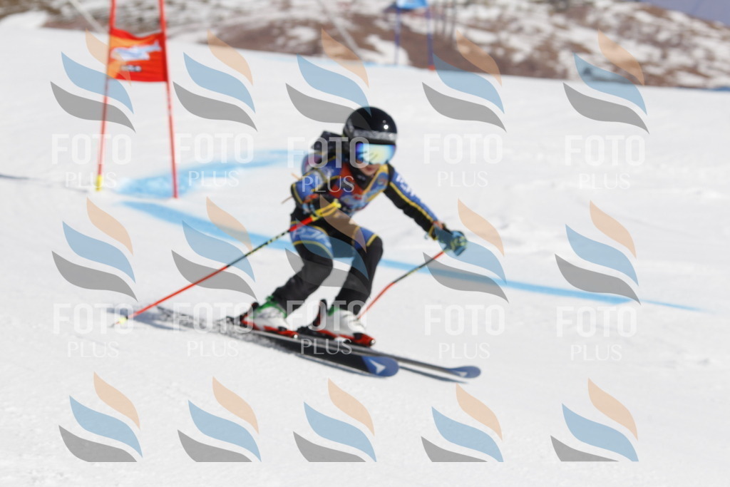 _U3G9594 | holidayphoto