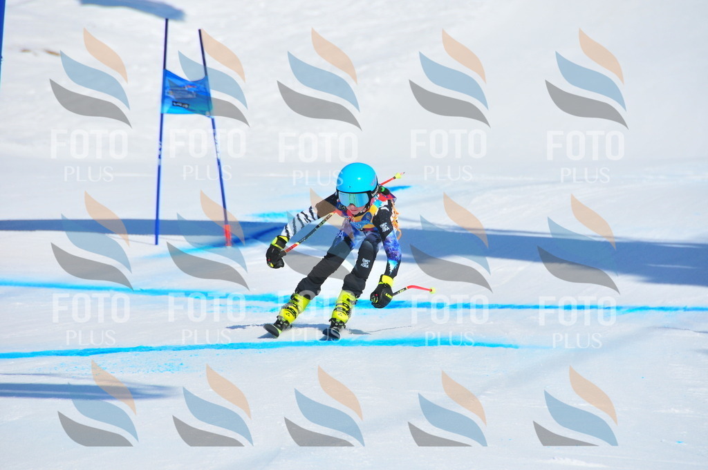 DSC_4277 | holidayphoto