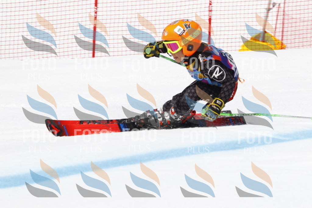 _U3G4448 | holidayphoto