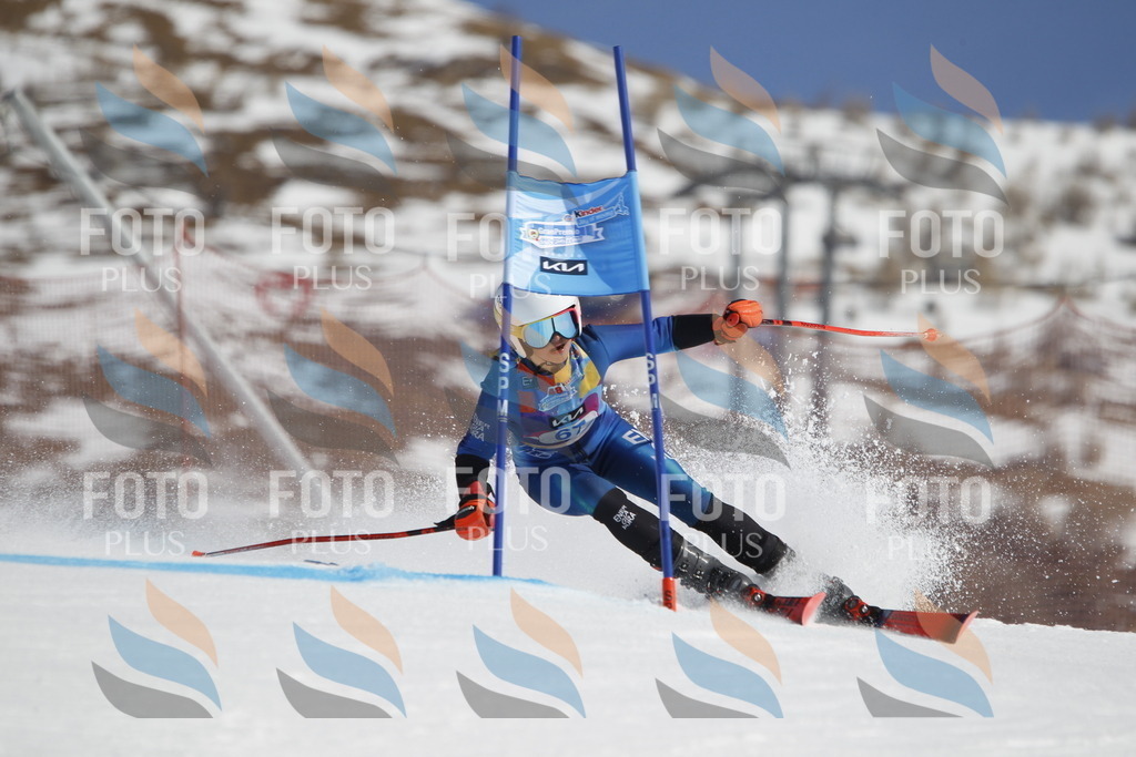 _U3G9748 | holidayphoto