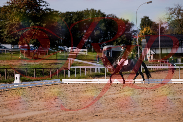 2026_10_03_Siefer-Hof_115623_Z81_97081850 | Professionelle Reitsport-, Turnier- und Eventfotografie von Robert Broda. Galerien mit ausgewählten und bearbeiteten Bildern direkt online ansehen und bestellen.