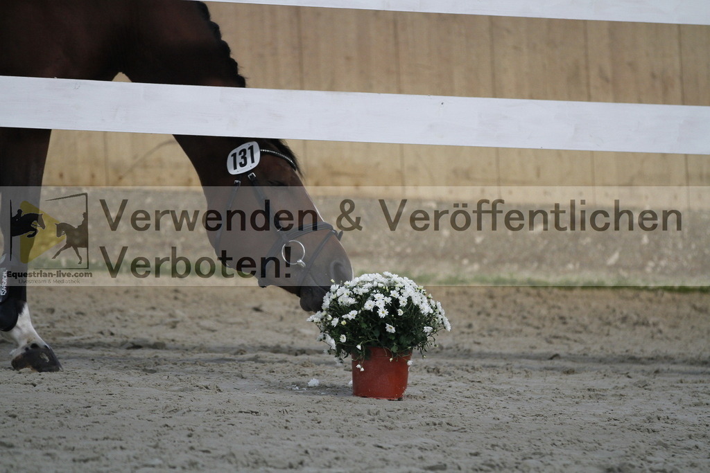 _MG_0797 | equestrian-live-com