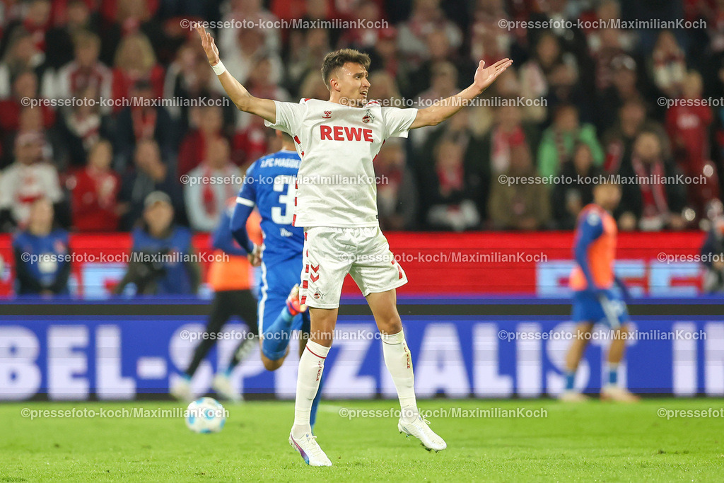 Koe14092401005 | 14.09.2024, 2. Fußball Bundesliga, 1. FC Köln - 1. FC Magdeburg, RheinEnergieSTADION, Saison 2024 2025: Dejan Ljubicic (1.FC Köln #7) steht wild gestikulierend auf dem SpielfeldDFB regulations prohibit any use of photographs as image sequences and or quasi-video.