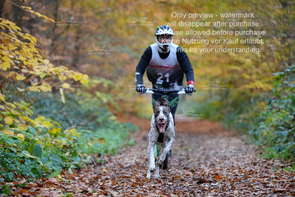 Scooter_So-22 | stephaniefillaphotographie - Realisiert mit Pictrs.com