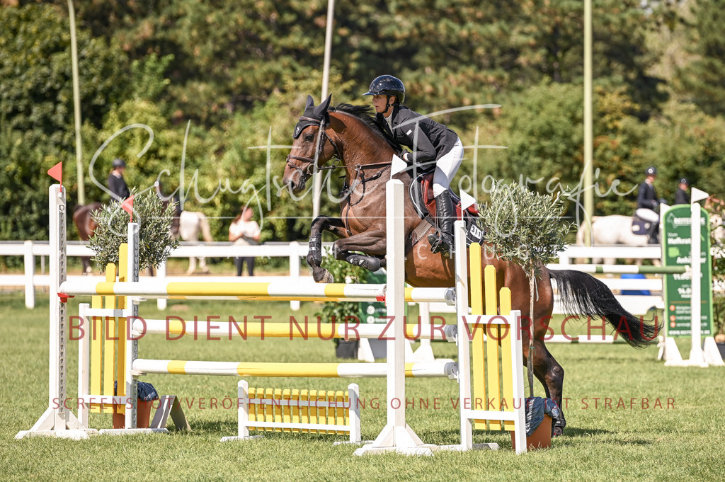 Schugtsche-Düren.2024-09.Springprf.L-47 | Schugtsche Fotografie - Realisiert mit Pictrs.com