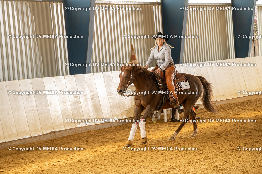 MIT01015 | dv-media-shop - Realisiert mit Pictrs.com