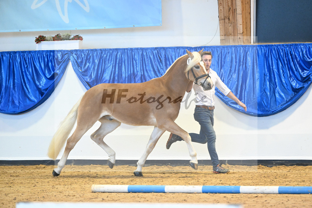 Kat-Nr. 9 Wilson P v. Wegas_Bleicher_60220670 | hf-fotografie - Realisiert mit Pictrs.com