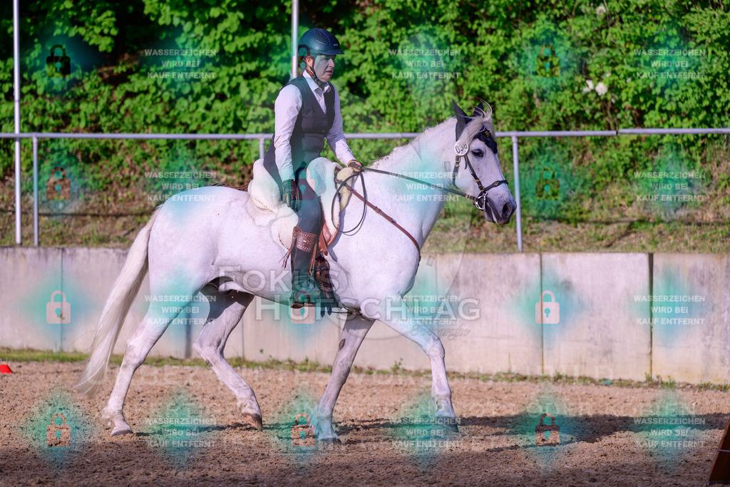 02052026-Giesenbach-03-Speedtrail-0575 | Fokus Hufschlag Fotografie - Realisiert mit Pictrs.com