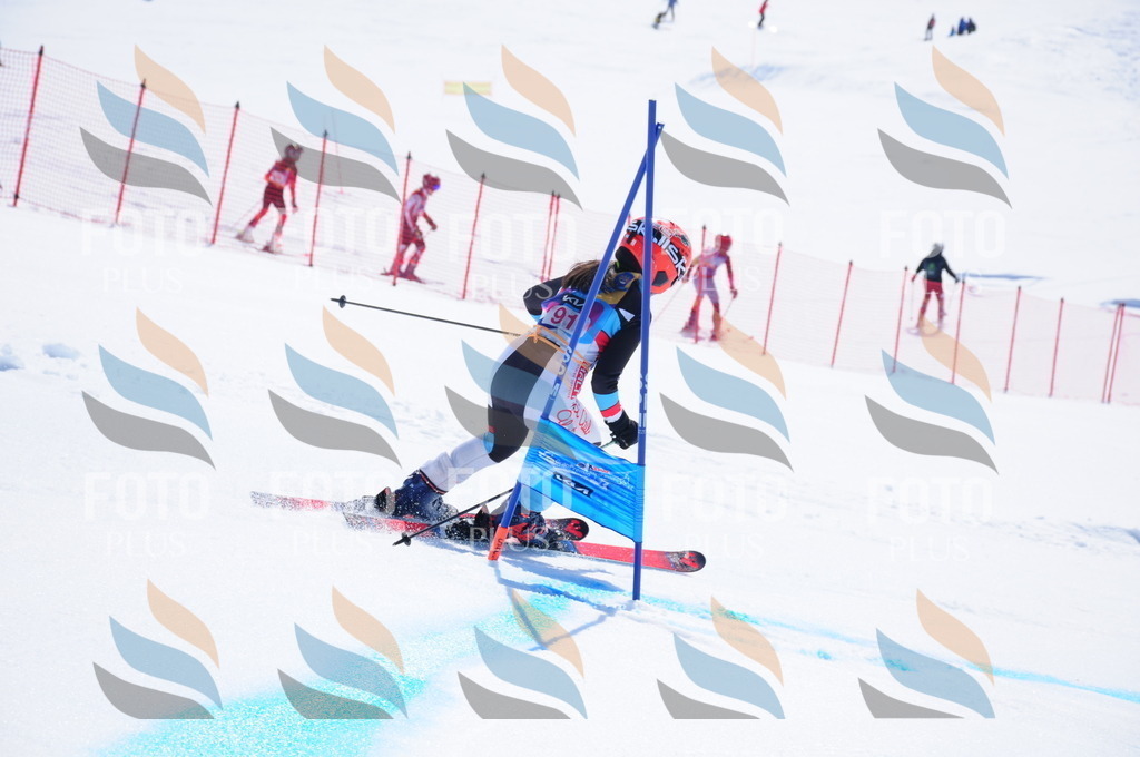 DSC_4649 | holidayphoto