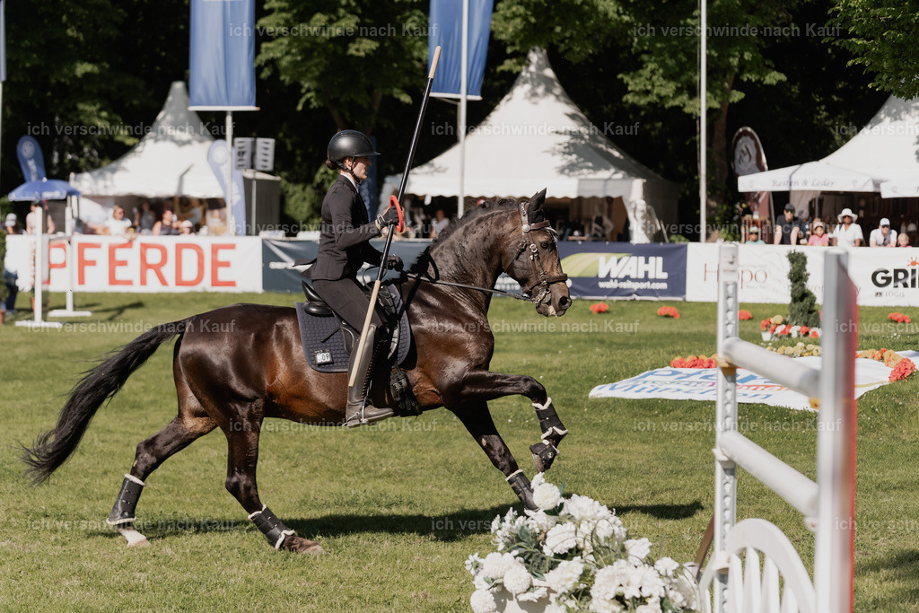 WE_MOS_Stoib_309_PI2025_2241 | Pferd International München 2025