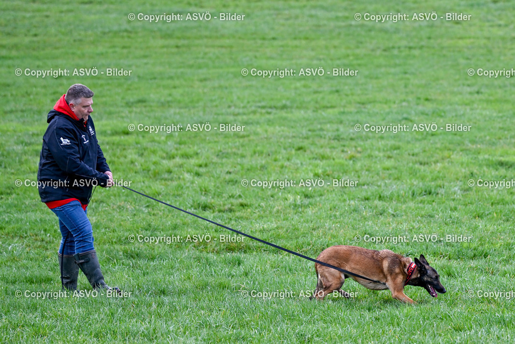ASVÖ_ Tracking Dog World Championship 2025_ 31.03.2025-58 | 31.03.2025, AUT, ASVÖ, Tracking Dog World Championship // FCI IGP Fährtenhundeweltmeisterschaft 2025©fodo.media / Harald Dostal - Realisiert mit Pictrs.com