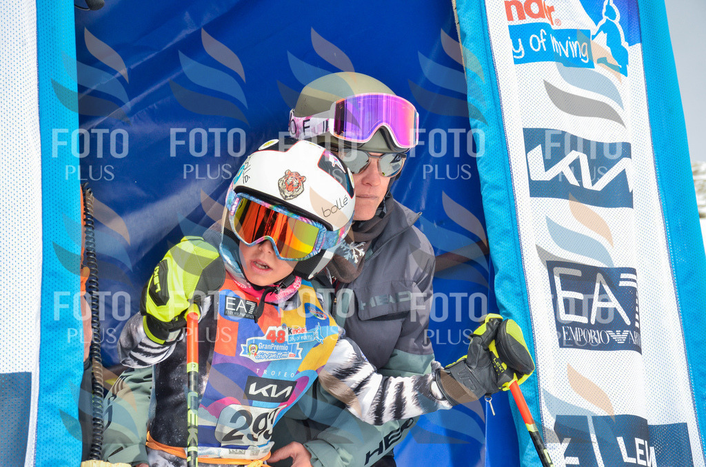 _ELE8131 | holidayphoto