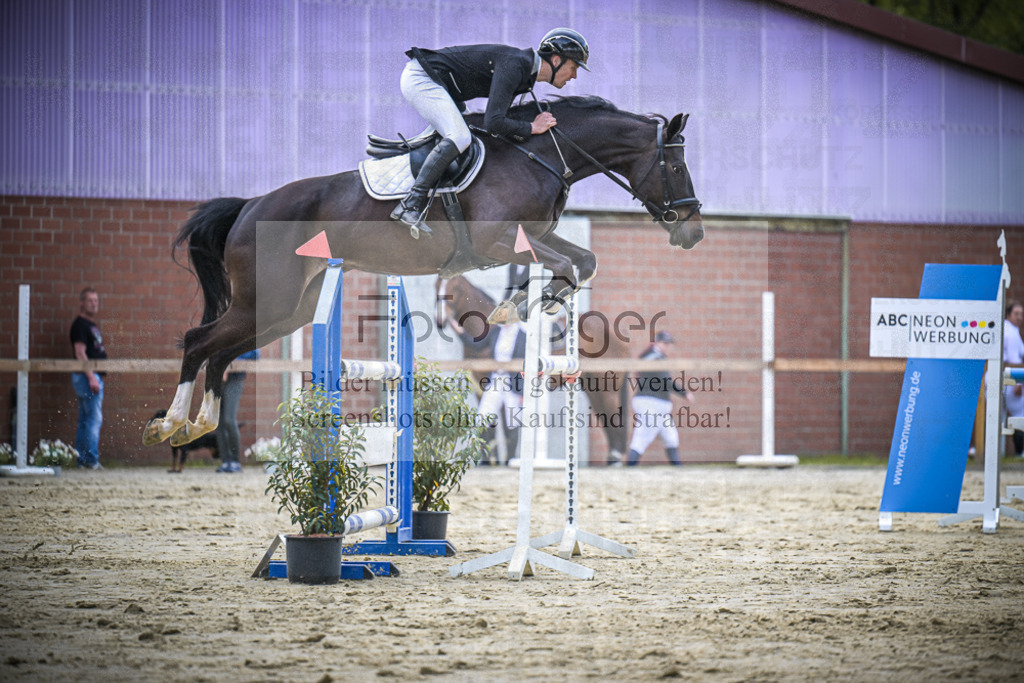 DOS_2089 | Entdecke hochwertige Reitturnierfotos von Foto Oger. Professionell, emotional und authentisch – jetzt Lieblingsmomente im Shop bestellen.Deutschlandweite Turnierfotografie. - Realisiert mit Pictrs.com