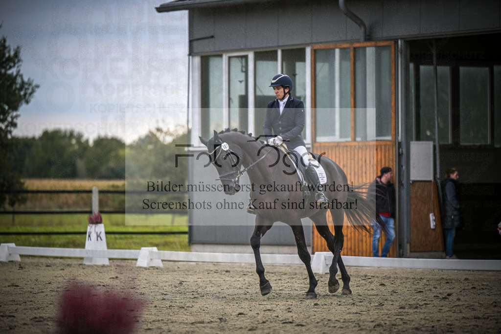 DOS_1338 | Entdecke hochwertige Reitturnierfotos von Foto Oger. Professionell, emotional und authentisch – jetzt Lieblingsmomente im Shop bestellen.Deutschlandweite Turnierfotografie. - Realisiert mit Pictrs.com