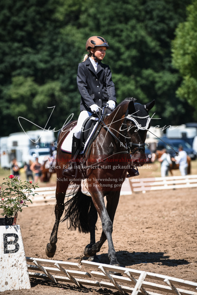 DSC_2790 | Pferde- und Turnierfotografie in Westsachsen. Pferdeportraits, Auftragszeichnungen und intuitive Kunst.
