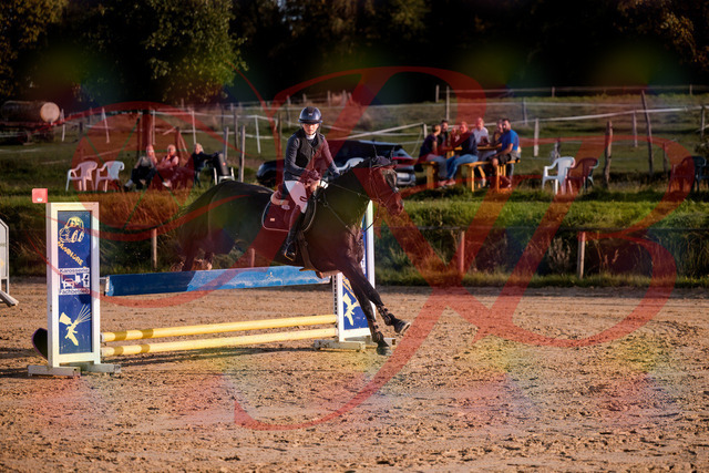 2026_10_03_Siefer-Hof_171603_Z81_14049028 | Professionelle Reitsport-, Turnier- und Eventfotografie von Robert Broda. Galerien mit ausgewählten und bearbeiteten Bildern direkt online ansehen und bestellen.