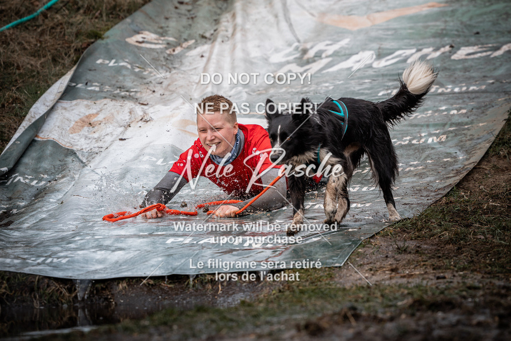 nelerasche_1330-1400_199 | nelerasche