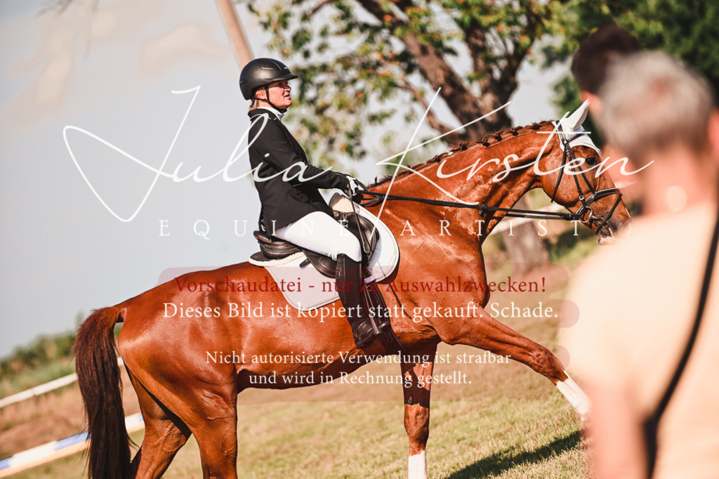 DSC_7348 | Pferde- und Turnierfotografie in Westsachsen. Pferdeportraits, Auftragszeichnungen und intuitive Kunst.