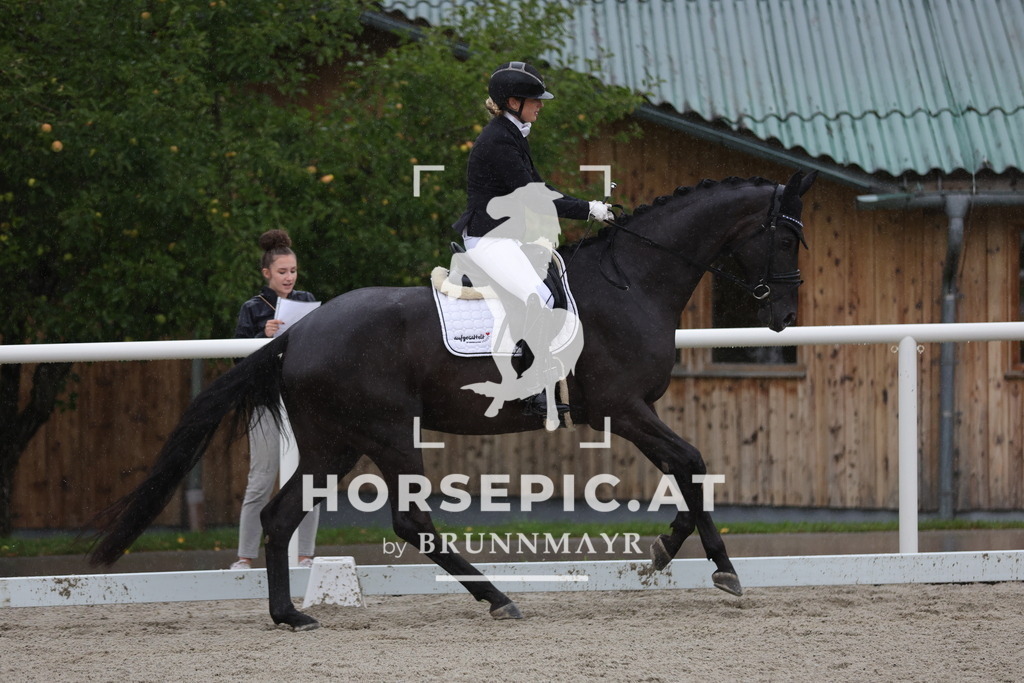 0P6A0460 | Willkommen bei Brunnmayr - Design & Fotografie – Ihrem Spezialisten für Reitturniere und Pferdeveranstaltungen in Oberösterreich, Salzburg und Bayern! Seit über 17 Jahren sind wir leidenschaftlich dabei.